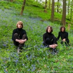 Blossoms