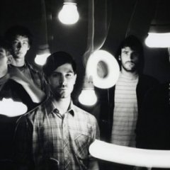 Foals