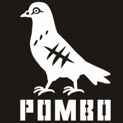 Pombo Sem Asa