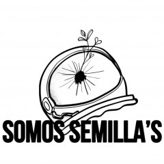 Semilla