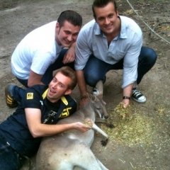 The Baseballs